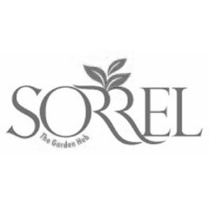 Sorrel